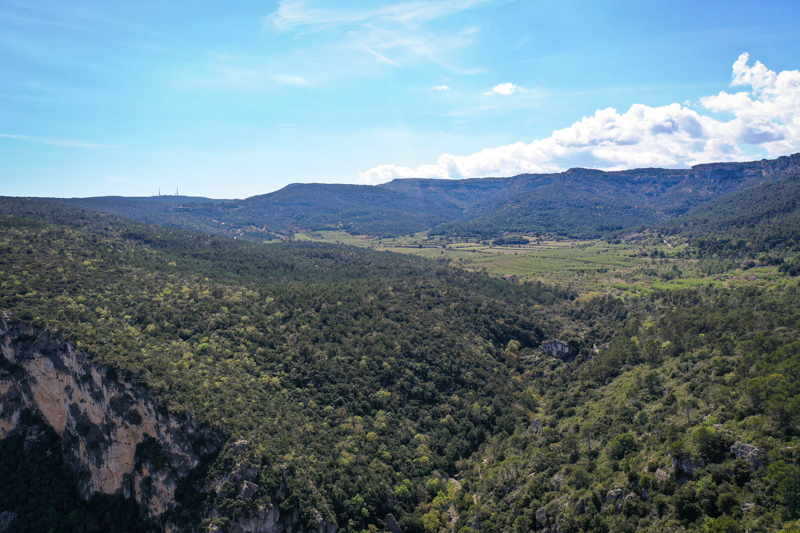 Entre Mont-ral i Farena