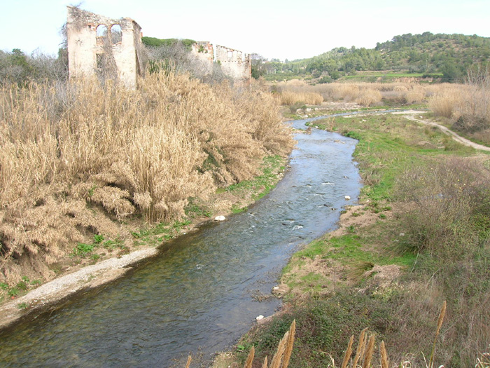 Un bell esguard a la vall del Francolí