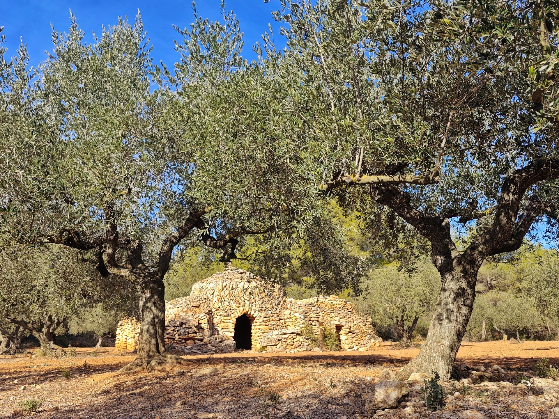 La ruta de la Capona