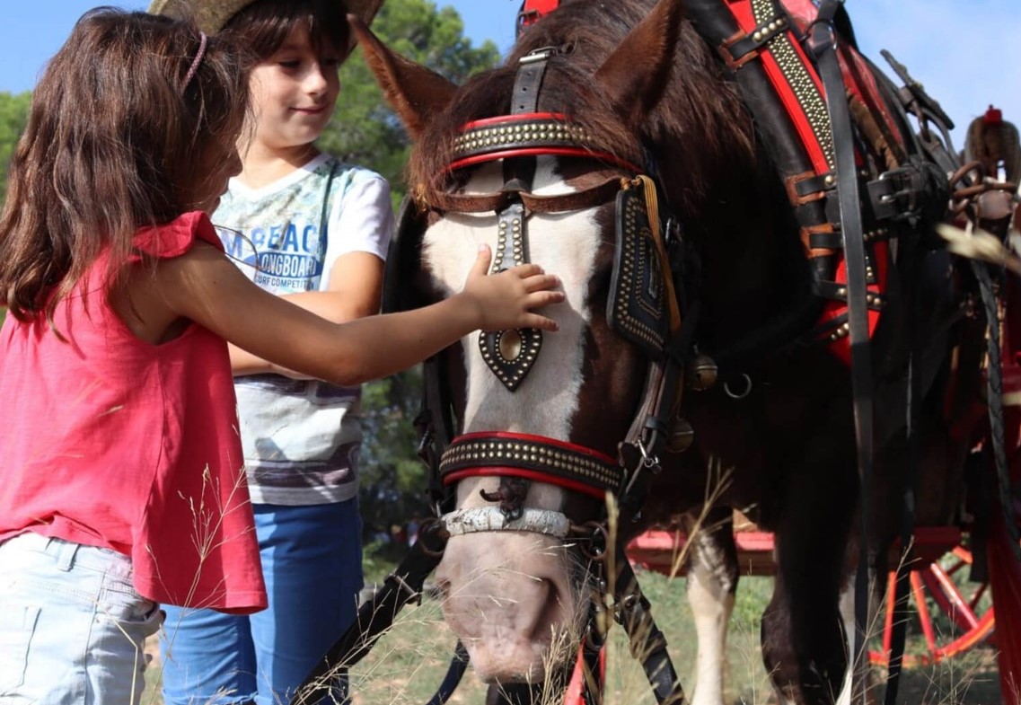 Rutes a pas de carro i cavall amb Experiències Rurals