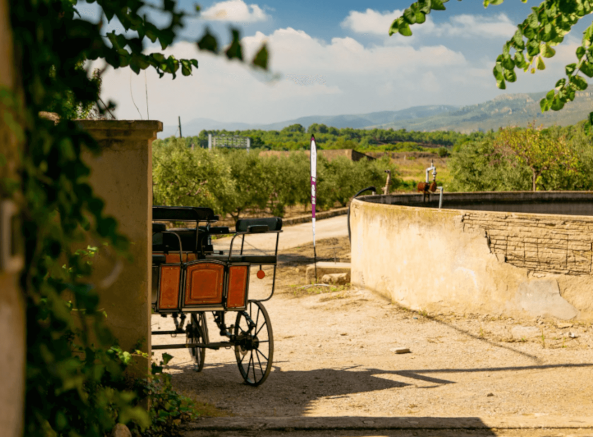 Celler Mas Bella