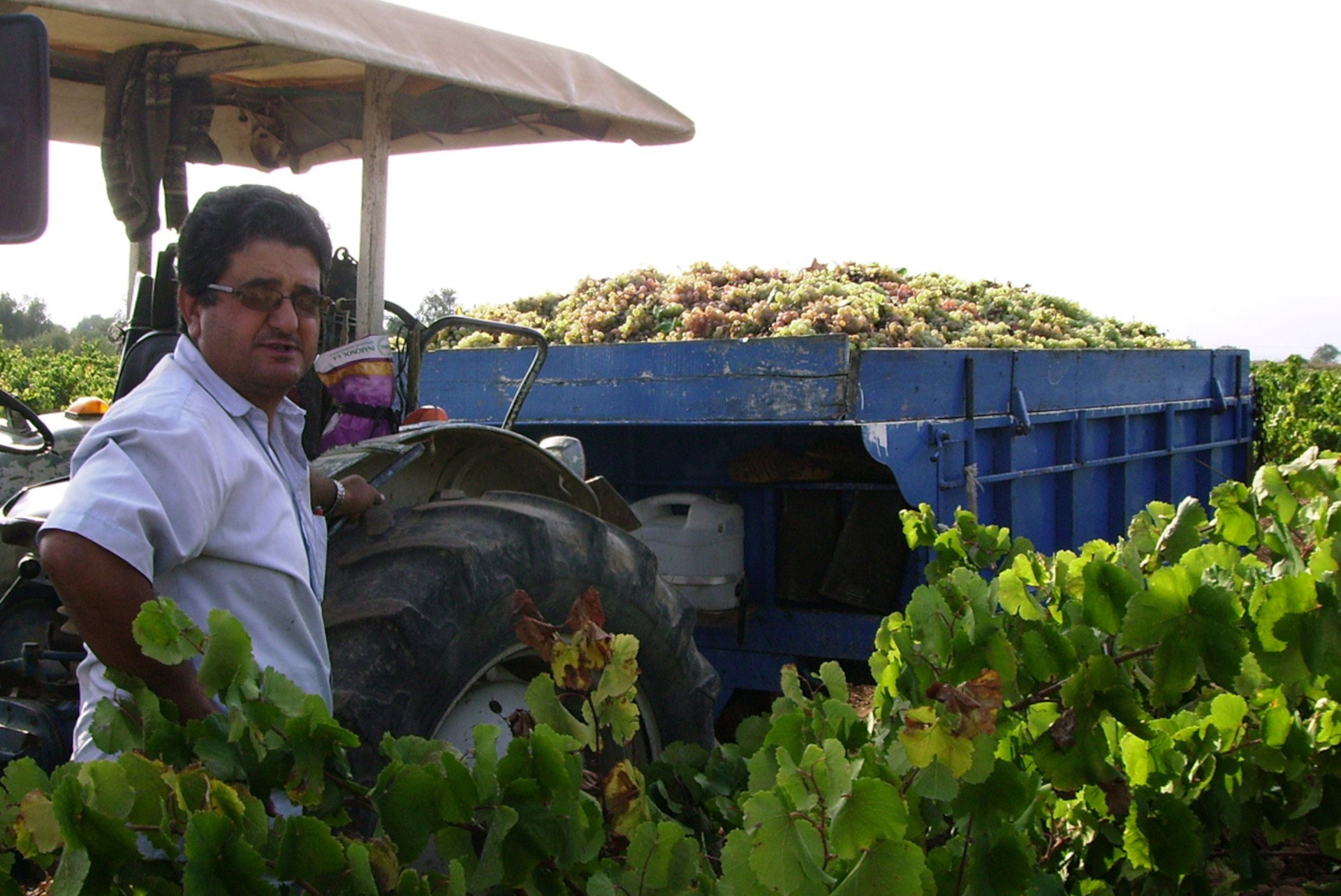 Celler Sanromà