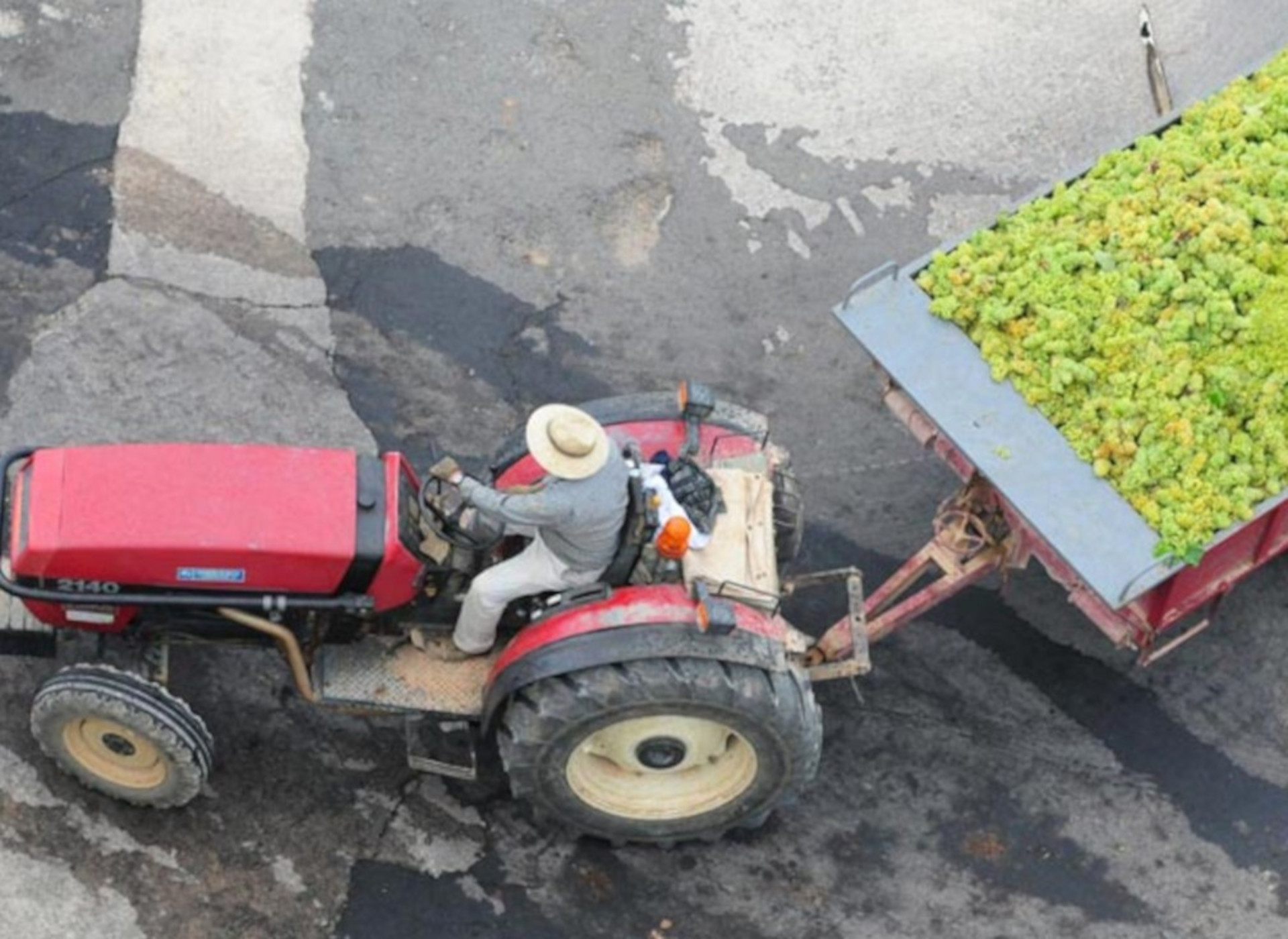 Cooperativa agrícola de Bràfim